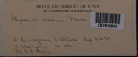 Image Associated With the Occurence